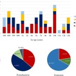 An Exclusive Primer on Antibiotics, Its Main Uses, and Different Types