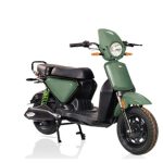 Go Green with Ecity Zip the Electric Way to Zip Around