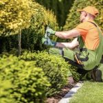 Great Tips for Starting a New Landscaping Business