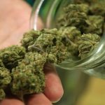 5 Creative Ways to Repurpose Blunt Roaches